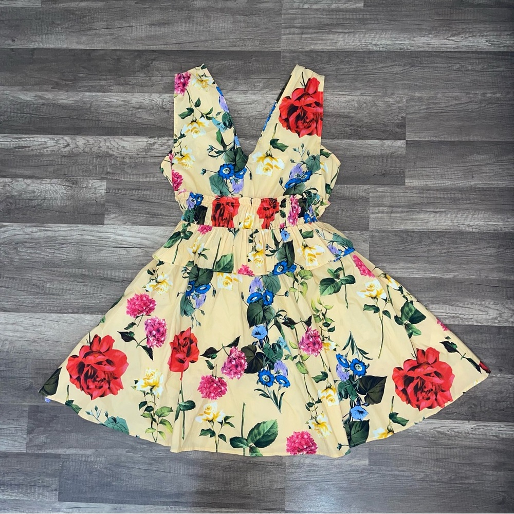‼️Express‼️Floral V-Neck Dress ✨SIZE Medium✨